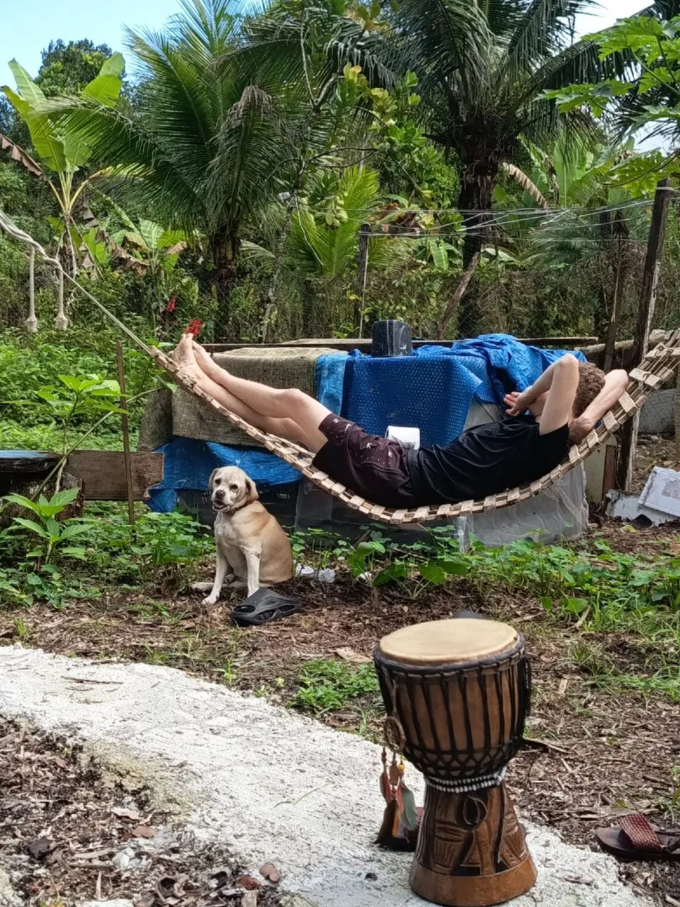 Quintal do instituto com rede, tambor e vegetação