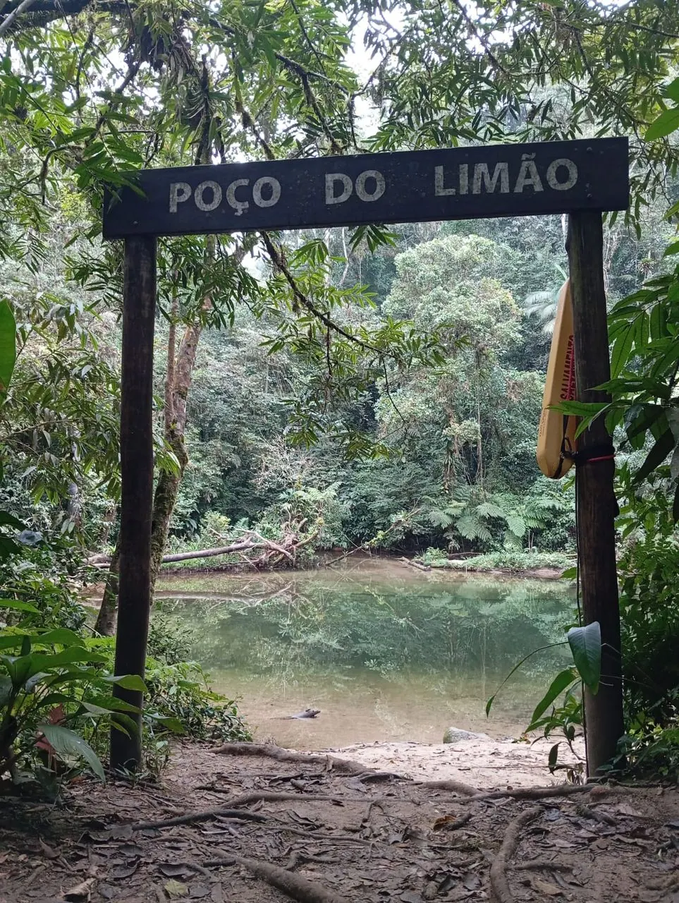 Entrada do Poço do Limão na mata